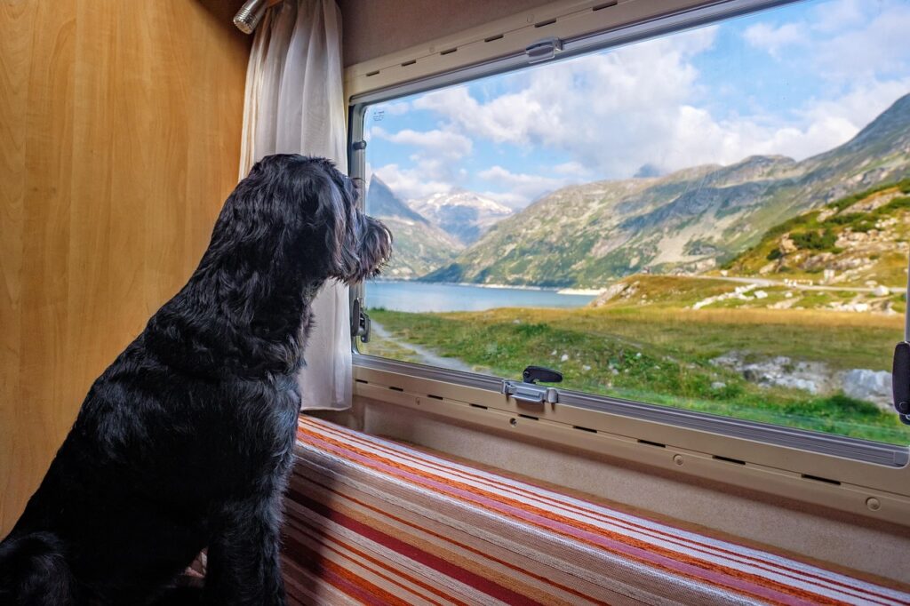 Camper Rent